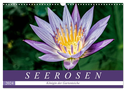 Seerosen - Königin der Gartenteiche (Wandkalender 2024 DIN A3 quer), CALVENDO Monatskalender