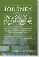 A Journey to World-Class Team Leadership