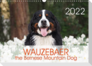 WAUZEBAER the Bernese Mountain Dog (Wall Calendar 2022 DIN A3 Landscape)
