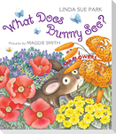 What Does Bunny See?