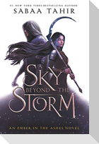 A Sky Beyond the Storm