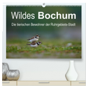 Wildes Bochum (hochwertiger Premium Wandkalender 2024 DIN A2 quer), Kunstdruck in Hochglanz