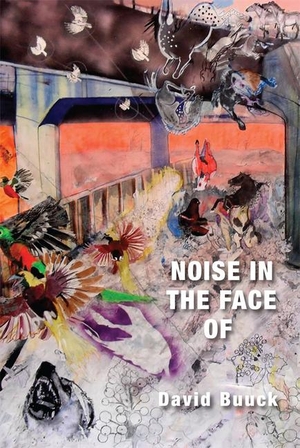 Buuck, David. Noise in the Face of. Roof Books, 2017.