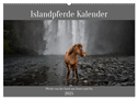 Islandpferde Kalender - Pferde von der Insel aus Feuer und Eis (Wandkalender 2025 DIN A2 quer), CALVENDO Monatskalender