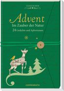 Briefbuch - Advent im Zauber der Natur