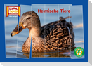 Rätselstreifen Ratespaß: Heimische Tiere / Kamishibai Bildkarten