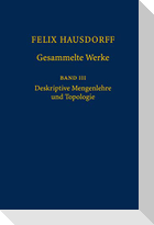 Felix Hausdorff - Gesammelte Werke Band III