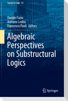 Algebraic Perspectives on Substructural Logics