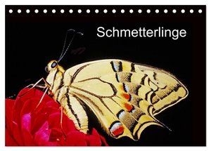 Bachmeier Huwiler Krause Kreuter Schreiter Steinkamp, McPHOTO. Schmetterlinge (Tischkalender 2024 DIN A5 quer), CALVENDO Monatskalender - Schmetterlinge vor der Kamera. Calvendo Verlag, 2023.
