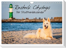 Rostock Citydogs - Der Stadthundekalender (Wandkalender 2024 DIN A4 quer), CALVENDO Monatskalender