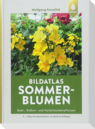 Bildatlas Sommerblumen