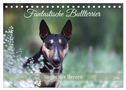 Fantastische Bullterrier - Sieger im Herzen (Tischkalender 2025 DIN A5 quer), CALVENDO Monatskalender