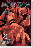 Jujutsu Kaisen, Vol. 25