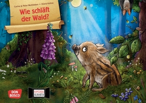Wohlleben, Carina / Peter Wohlleben. Wie schläft der Wald? Kamishibai Bildkartenset - Entdecken - Erzählen - Begreifen: Bilderbuchgeschichten. Wie Tiere des Waldes schlafen gehen: eine Naturgeschichte für das Erzähltheater. Don Bosco Medien GmbH, 2025.