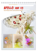 APOLLO UND CO (Tischkalender 2025 DIN A5 hoch), CALVENDO Monatskalender