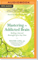 Mastering the Addicted Brain: Building a Sane and Meaningful Life to Stay Clean