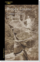 Cómo piensan las piedras