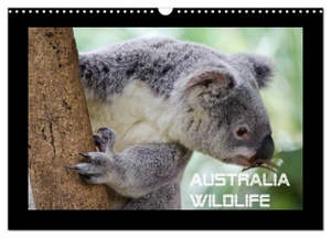By Wolfgang Schömig, Luxscriptura. Australia Wildlife (Wandkalender 2024 DIN A3 quer), CALVENDO Monatskalender - Portraits von Australiens einzigartiger Tierwelt. Calvendo Verlag, 2023.