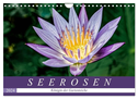 Seerosen - Königin der Gartenteiche (Wandkalender 2024 DIN A4 quer), CALVENDO Monatskalender