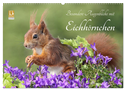 Besondere Augenblicke mit Eichhörnchen (Wandkalender 2024 DIN A2 quer), CALVENDO Monatskalender