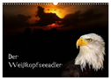 Der Weißkopfseeadler (Wandkalender 2024 DIN A3 quer), CALVENDO Monatskalender