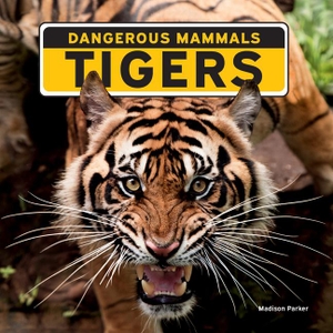 Parker, Madison. Tigers. Rosen Publishing Group, Inc, 2024.