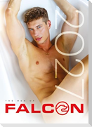 The Men of Falcon 2027
