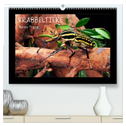 Krabbeltiere (hochwertiger Premium Wandkalender 2024 DIN A2 quer), Kunstdruck in Hochglanz