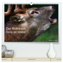 Der Rothirsch, König der Wälder (hochwertiger Premium Wandkalender 2025 DIN A2 quer), Kunstdruck in Hochglanz