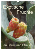 Exotische Früchte an Baum und Strauch (Wandkalender 2024 DIN A3 hoch), CALVENDO Monatskalender