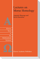 Lectures on Morse Homology