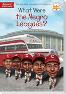 What Were the Negro Leagues?