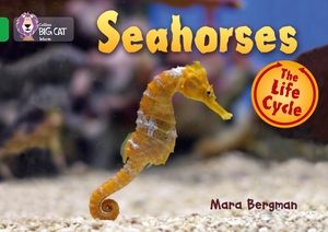 Bergman, Mara. Seahorses - Band 05/Green. HarperCollins UK, 2012.