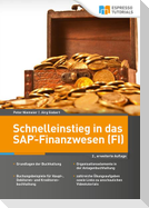 Schnelleinstieg in das SAP-Finanzwesen (FI)