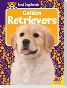 Golden Retrievers