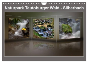Hobscheidt, Ernst. Naturpark Teutoburger Wald - Silberbach (Wandkalender 2024 DIN A4 quer), CALVENDO Monatskalender - Natur im Silberbachtal. Calvendo Verlag, 2023.