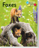 Foxes