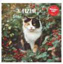 Katzen 2027