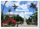 Havanna in Blüte (Tischkalender 2025 DIN A5 quer), CALVENDO Monatskalender