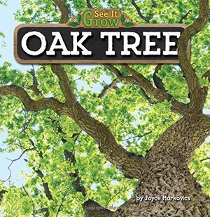 Markovics, Joyce. Oak Tree. Bearport Publishing by Flutterbee, 2015.