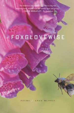 Mlinko, Ange. Foxglovewise. St. Martins Press-3PL, 2026.
