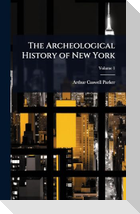 The Archeological History of New York