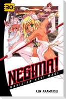 Negima!, Volume 30