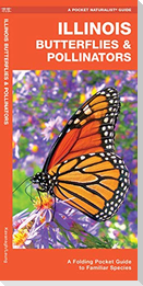 Illinois Butterflies & Pollinators: A Folding Pocket Guide to Familiar Species