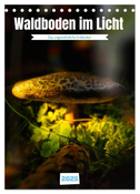 Waldboden im Licht (Tischkalender 2025 DIN A5 hoch), CALVENDO Monatskalender