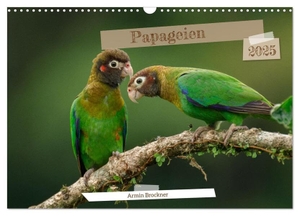 Und Daniel Brockner, Armin. Papageien (Wandkalender 2025 DIN A3 quer), CALVENDO Monatskalender - Die schönsten Vögel der Welt. Calvendo, 2024.