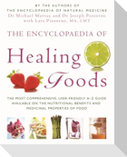 The Encyclopaedia Of Healing Foods