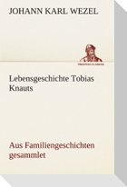 Lebensgeschichte Tobias Knauts