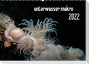 unterwasser makro 2022 (Wandkalender 2022 DIN A2 quer)