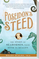 Poseidon's Steed